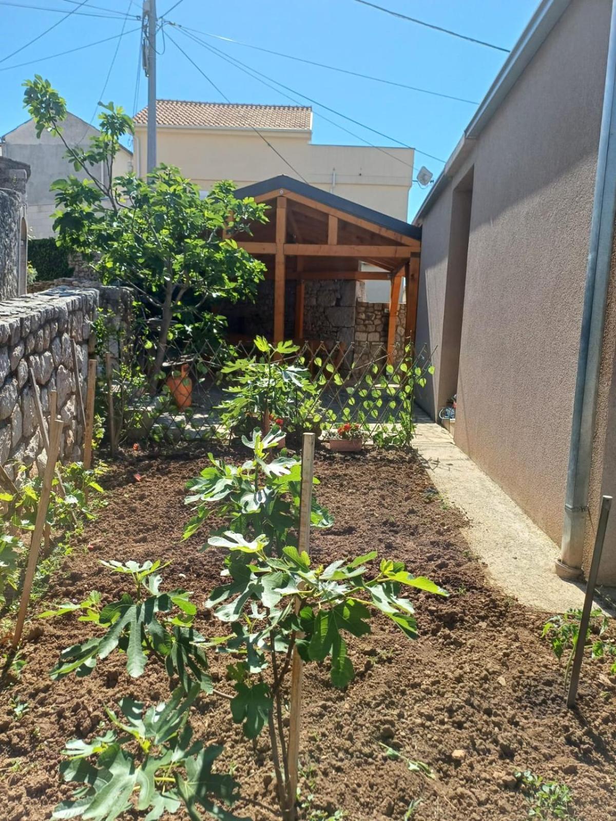 Apartmani Afrodita Crikvenica Εξωτερικό φωτογραφία